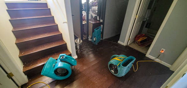 Best Carpet water damage restoration  in Pen Argyl, PA