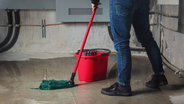 Best Water damage mitigation services  in Pen Argyl, PA