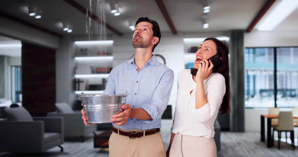 Best Flooded house restoration  in Pen Argyl, PA