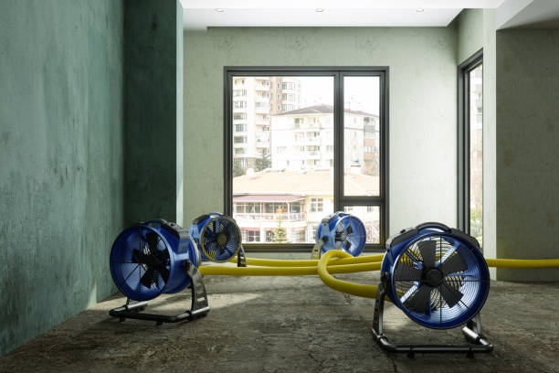 Best Residential water damage restoration  in Pen Argyl, PA